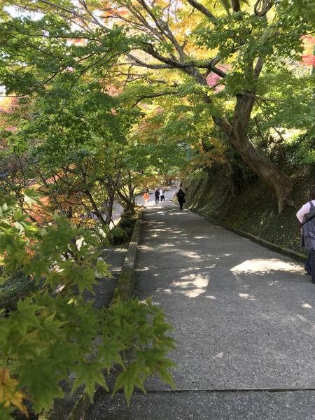 『20171107永源寺(2)』の画像