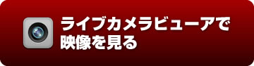 ビューアで見る