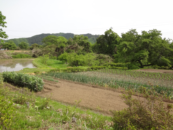 下野宮民有地イメージ2