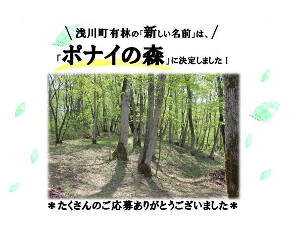 浅川町有林新名称決定