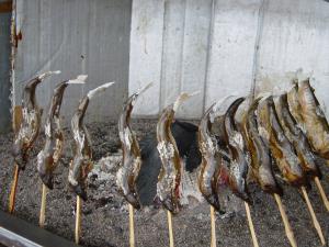 奥久慈だいご観光やなの営業について 大子町公式ホームページ 奥久慈だいご観光やなの営業について 大子町公式ホームページ
