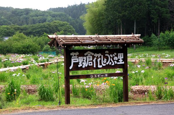 芦野倉花しょうぶの里