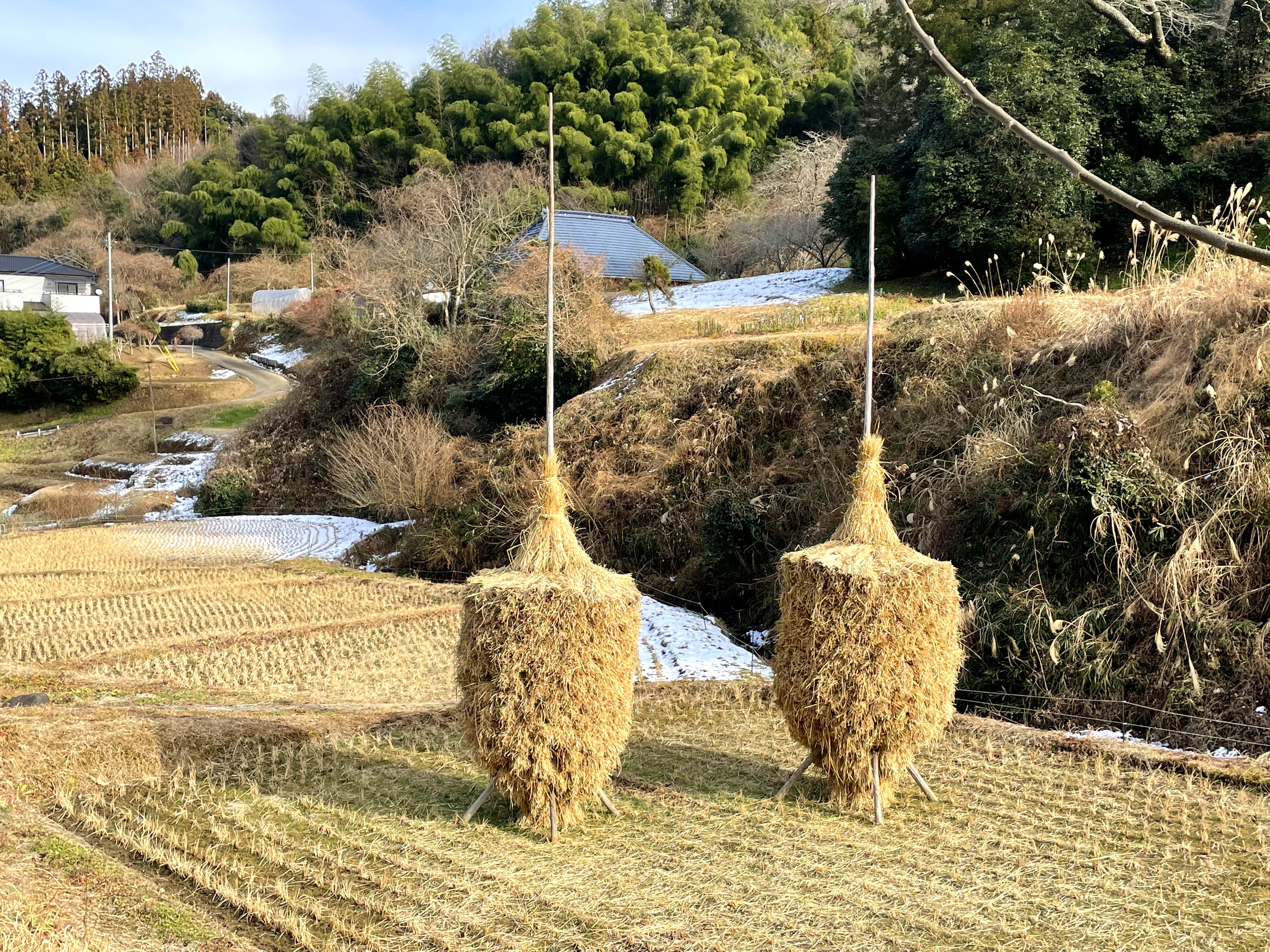 10上郷