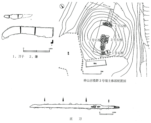 仲山古墳群３号墳配置図