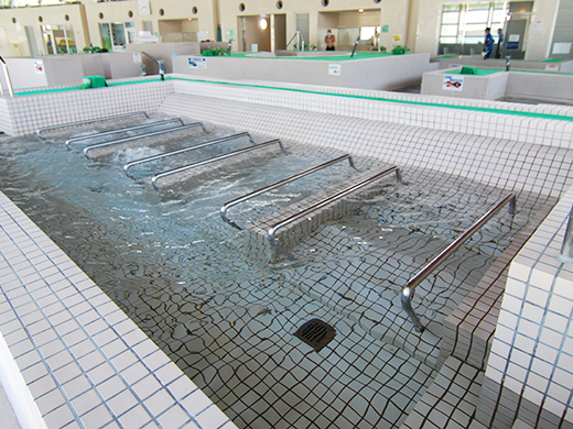 大子広域公園 フォレスパ大子（バーデハウス)）寝湯