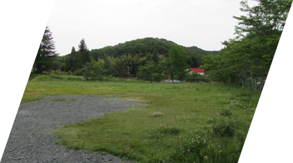 写真2